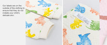 Load image into Gallery viewer, Dinosaur Loungewear / Pyjamas Set