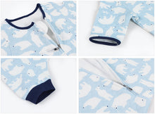 Load image into Gallery viewer, Polar Bear Sky Sleep Sack